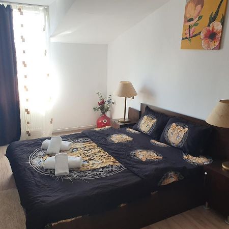 Отель Casa Lions Тимишоара Экстерьер фото