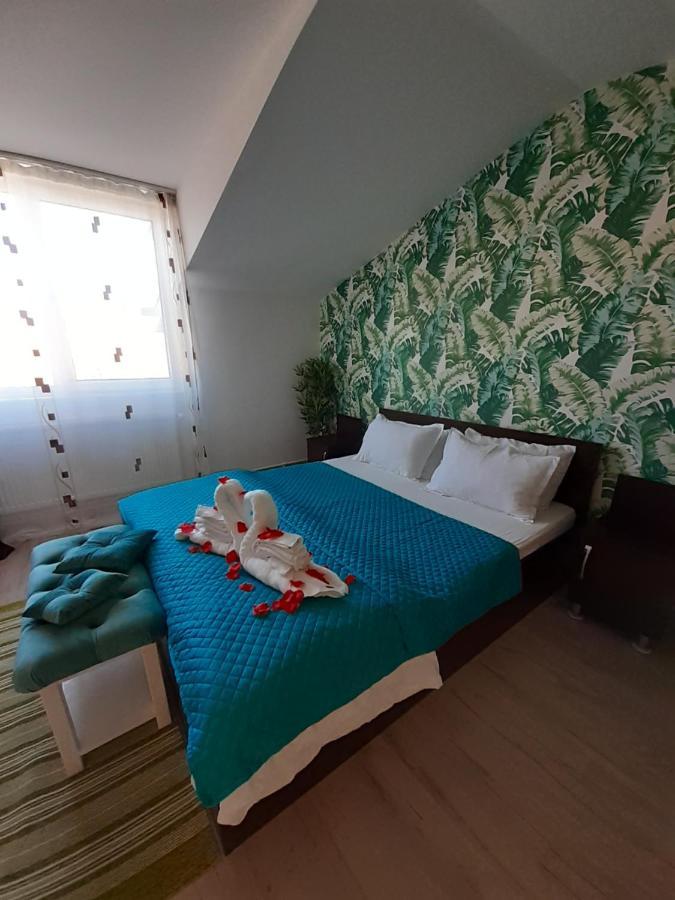 Отель Casa Lions Тимишоара Экстерьер фото