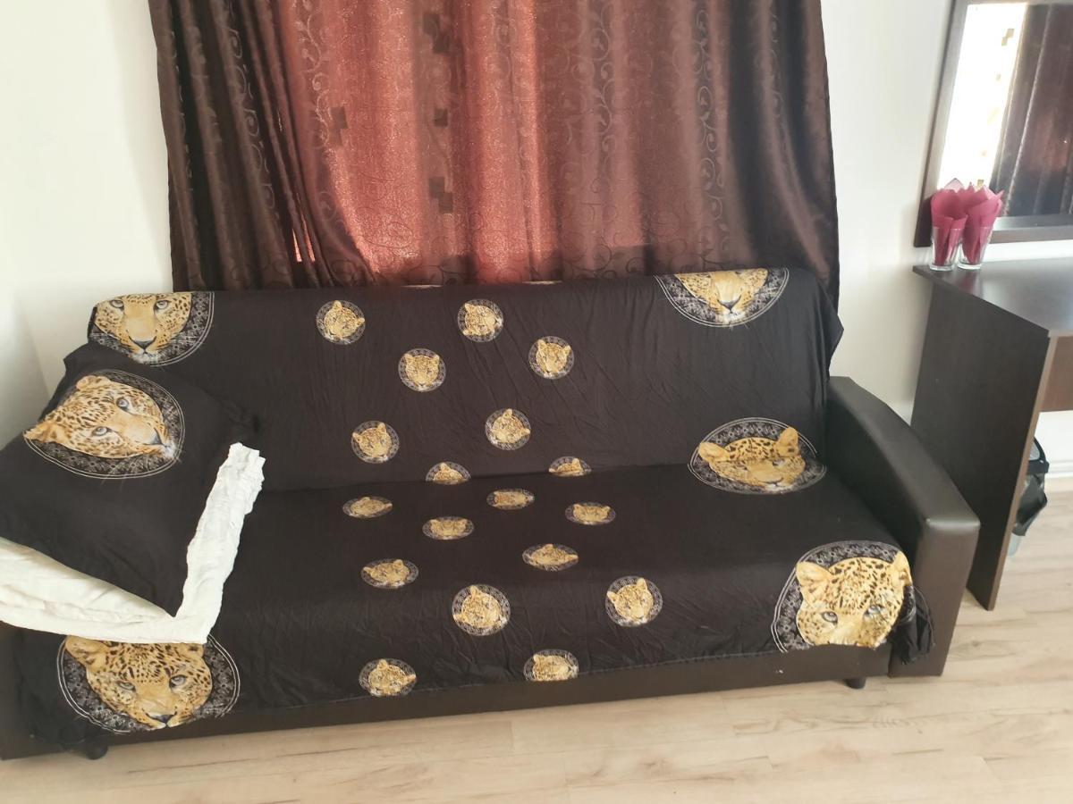 Отель Casa Lions Тимишоара Экстерьер фото