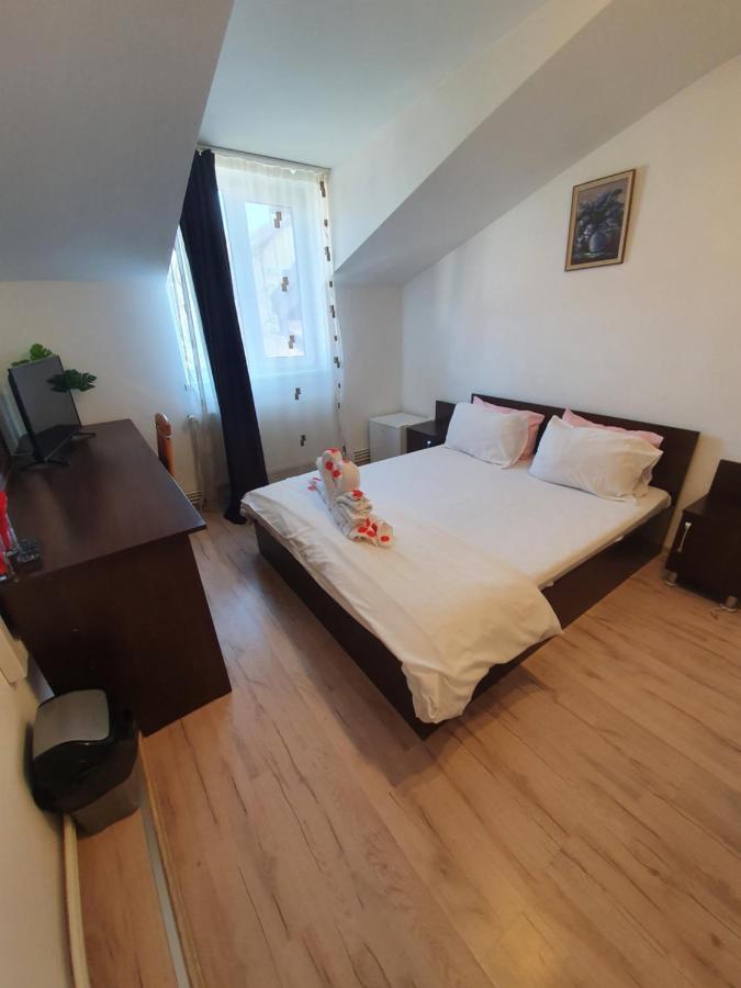 Отель Casa Lions Тимишоара Экстерьер фото