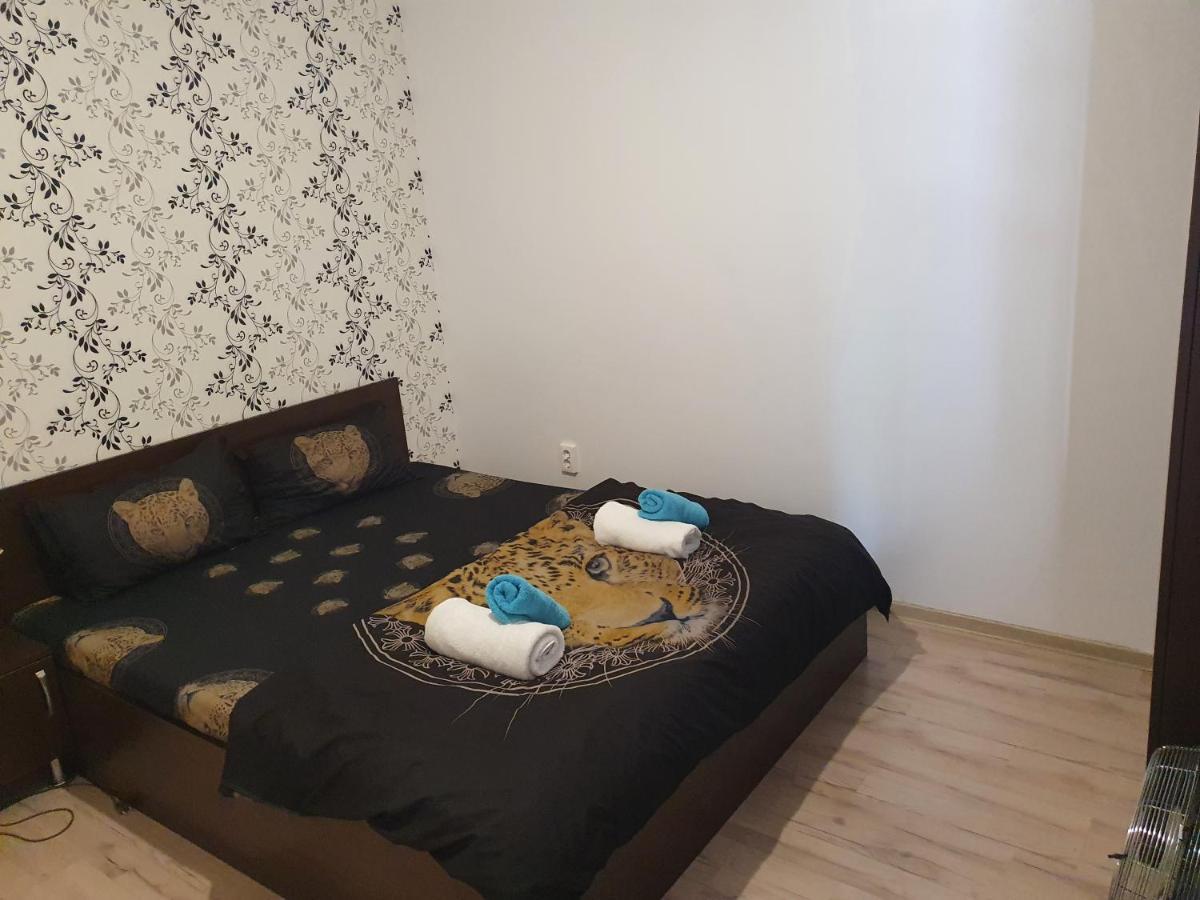 Отель Casa Lions Тимишоара Экстерьер фото