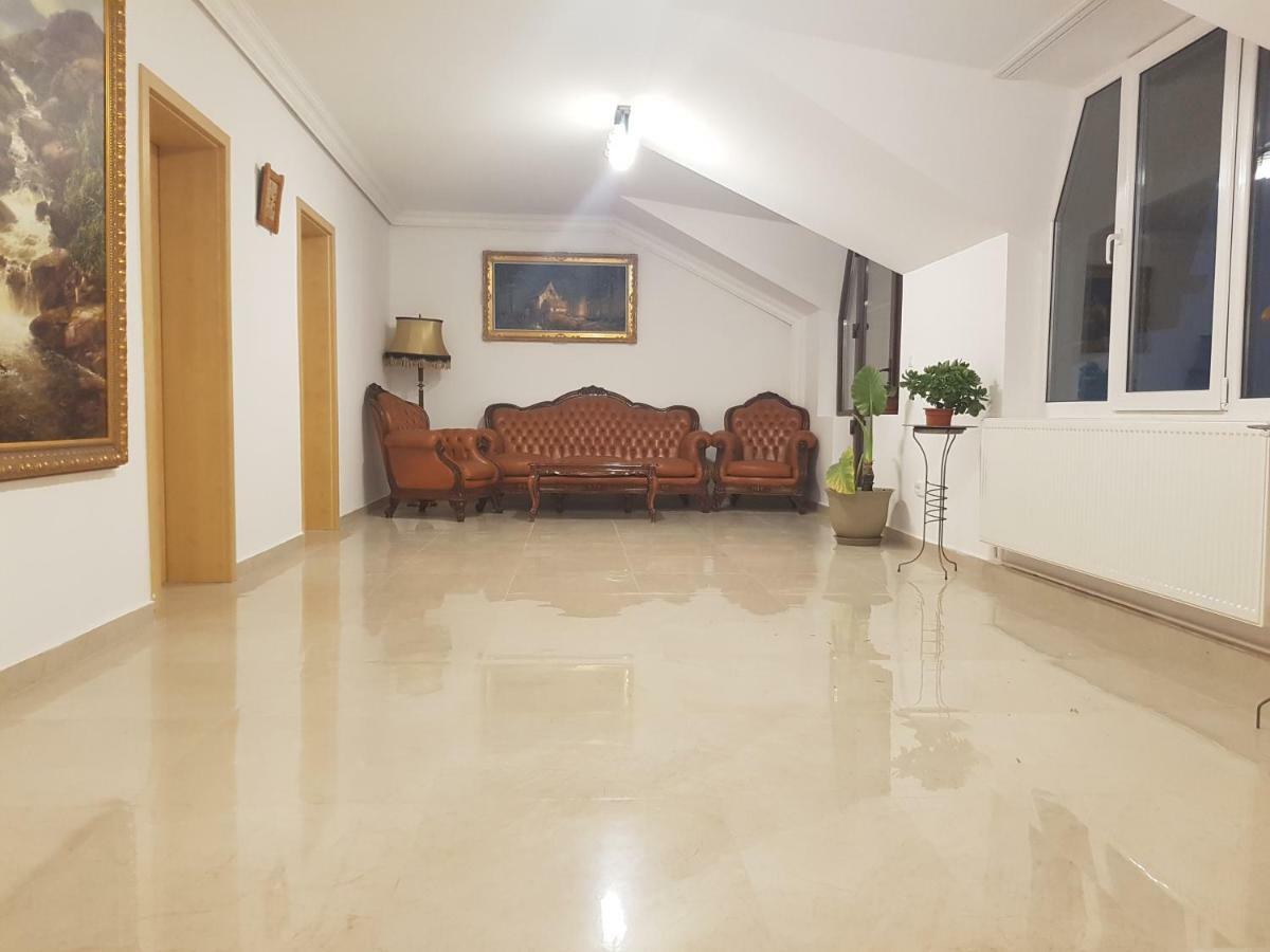 Отель Casa Lions Тимишоара Экстерьер фото