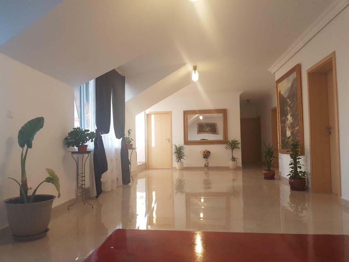 Отель Casa Lions Тимишоара Экстерьер фото